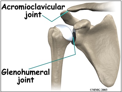 AC Joint