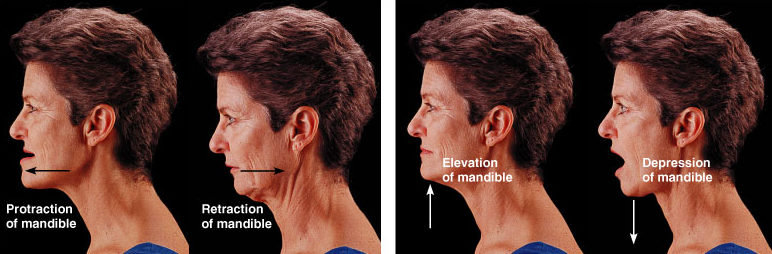 Photo displaying exercises for mouth joint pain | Featured image for Jaw Physiotherapy Treatment service at Pivotal Motion.