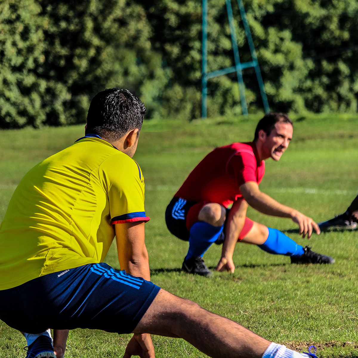Groin Injuries - Latest Update | Pivotal Motion Physiotherapy