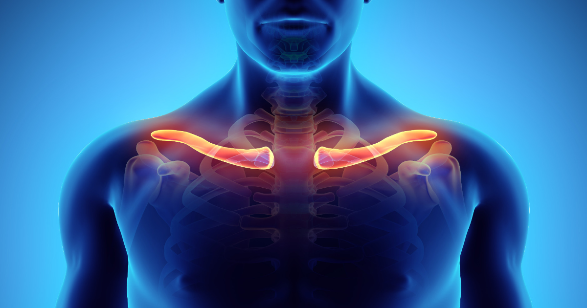 Realistic photo of a human clavicle which is highlighted in orange on a blue background | featured image for Home.