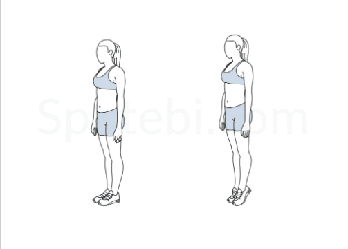 diagram of calf strengthening exercises