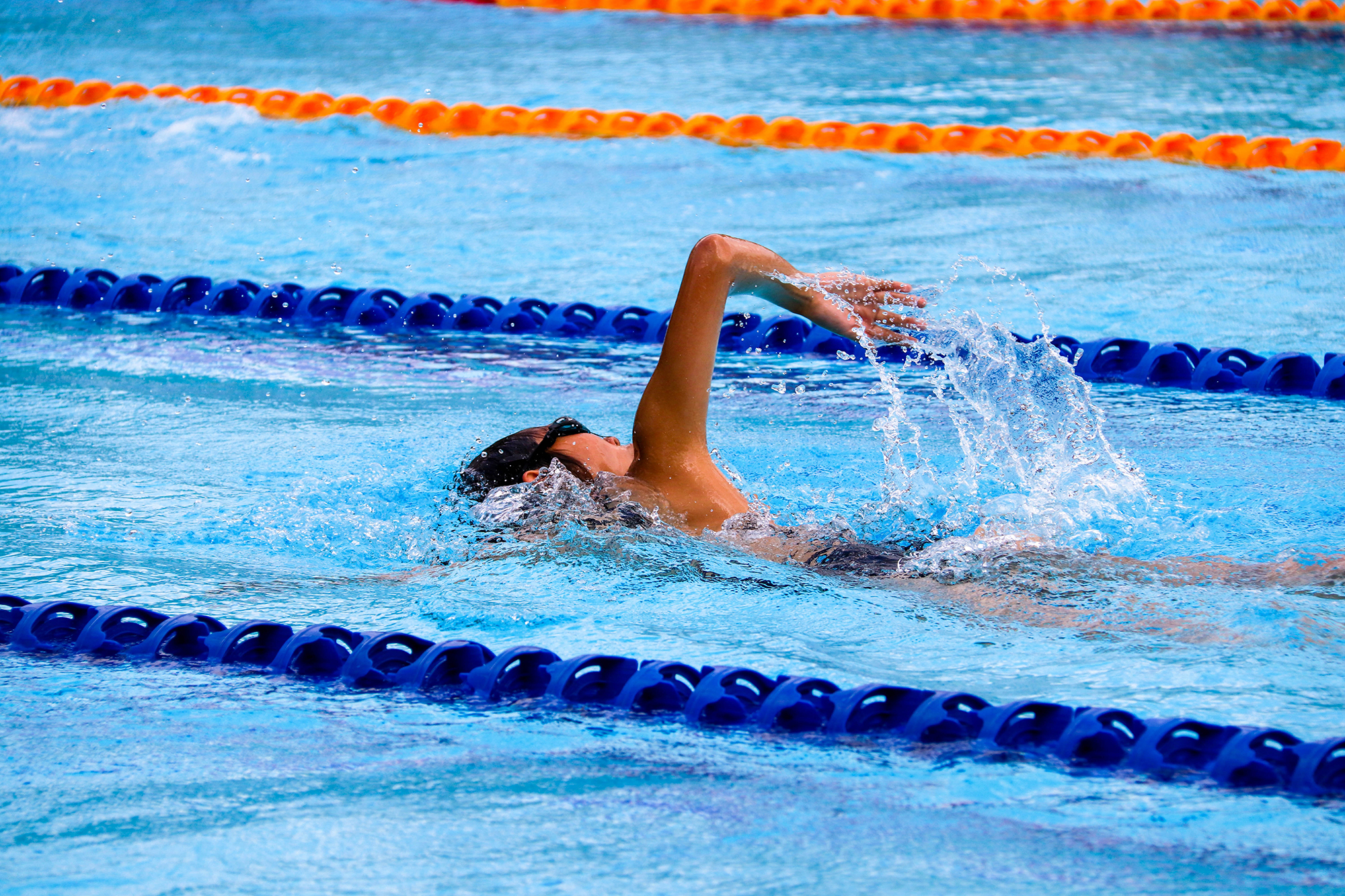 Person swimming in lane