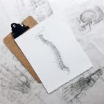Black and white drawing of human spinal column | featured image for 4 easy exercises for correct posture.