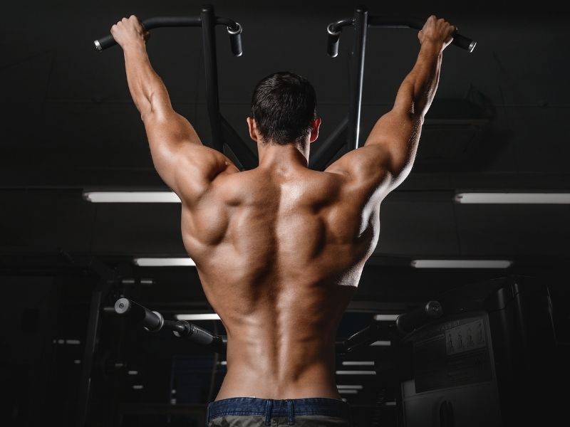 A very muscly mans back with his arms raised and using gym equipment | Featured image for Back Injury Physiotherapy.