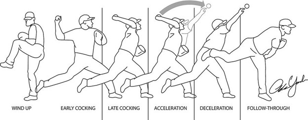 An illustration of the steps of someone throwing a baseball | Featured image for Throwers Elbow.